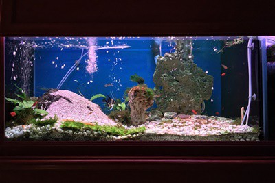 Normal fish tank top