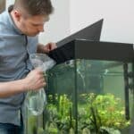 how to avoid algae in a fish tank
