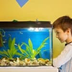 what happens if your fish tank is too small?